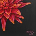 dahlia-flowers-painting-acrylic-art-red-canvas-modern-black.jpg