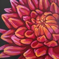 dahlia-flowers-painting-acrylic-art-red-canvas-modern-black-pink.jpg