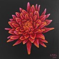 flowers-painting-acrylic-art-red-canvas-modern-dahlia.jpg