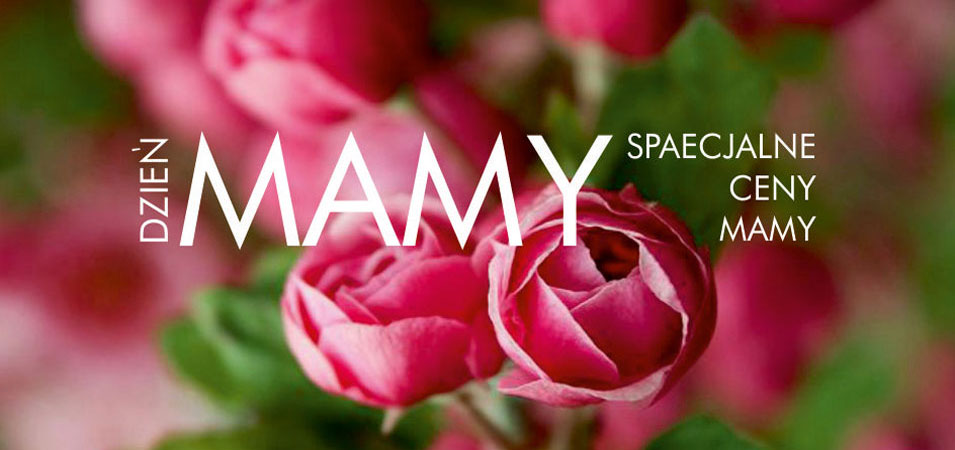 specjalne ceny na dzień mamy do końca maja sale